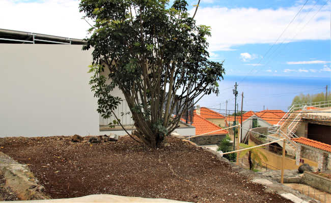 Gartenarbeit in Madeira
