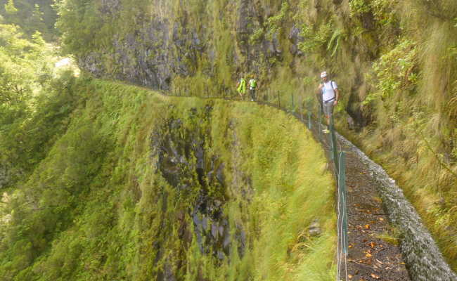 Levada do Norte Richtung Mega