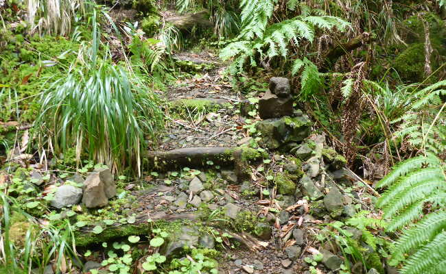 Anweg zur Schlucht Ribeira do Folhado in Madeira