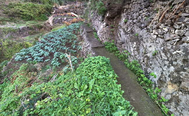 Anweg zur Schlucht Ribeira Funda Meia Legua