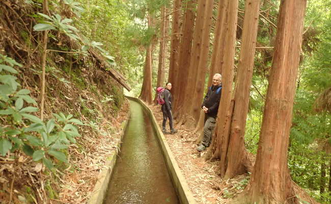 Anweg entlang der Levada Faja do Rodriguez