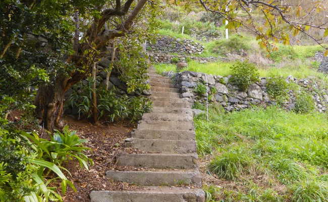 Anweg zum Canyon in Madeira