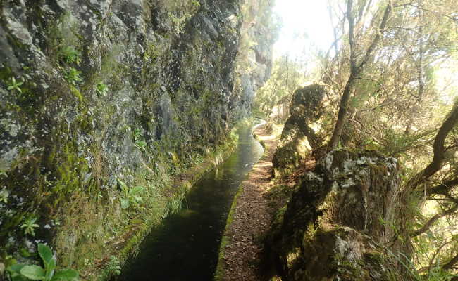 Anweg entlang der Levada do Norte, Madeira