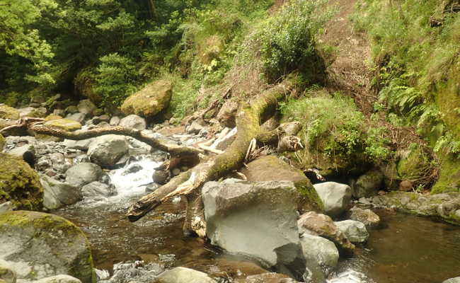 Flussquerung Lombo do Barbinhas