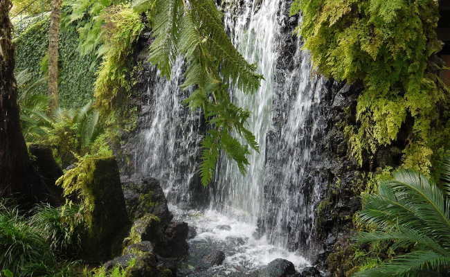 Levada Wanderung in Madeira