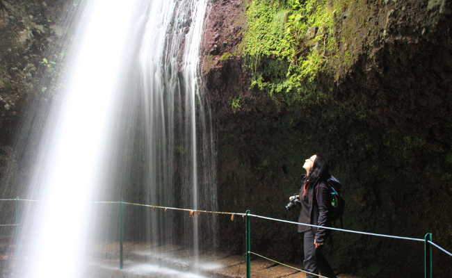 Ein Wasserfall der Levada Nova in Madeira