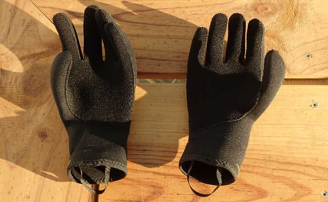 Canyon neoprene gloves