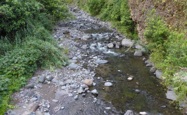 Wildbach Sao Vicente, Madeira