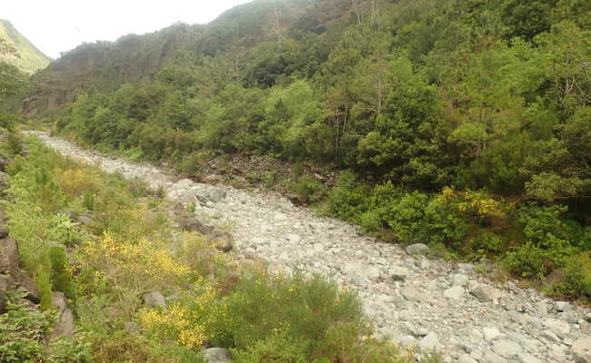 Fluss Seixal