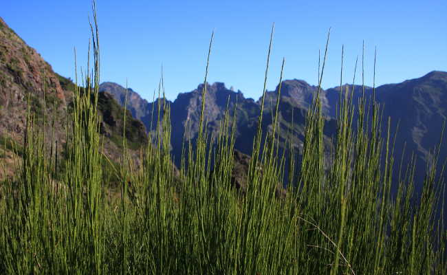 Berg Pico Grande in Madeira