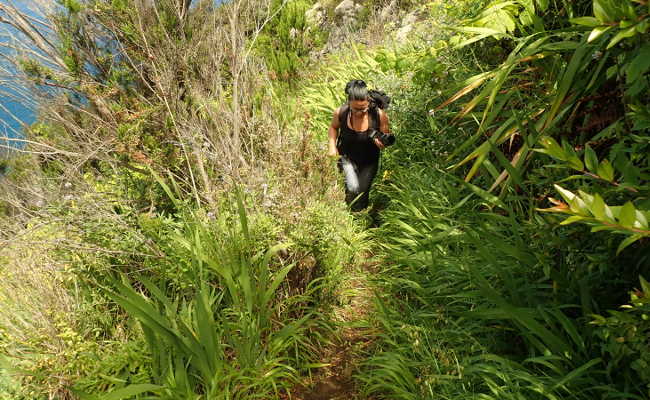 Bergwanderung Madeira