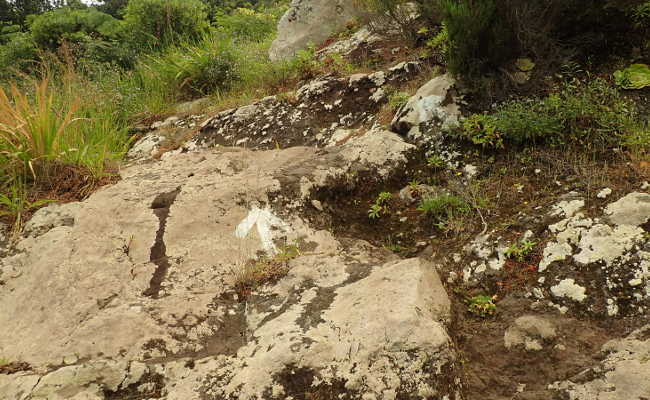 Wandern in Faial mit Casa Vento