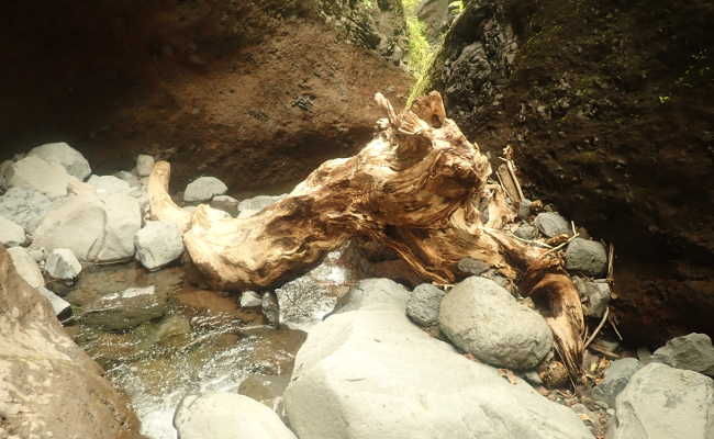 Canyoning mit Casa Vento