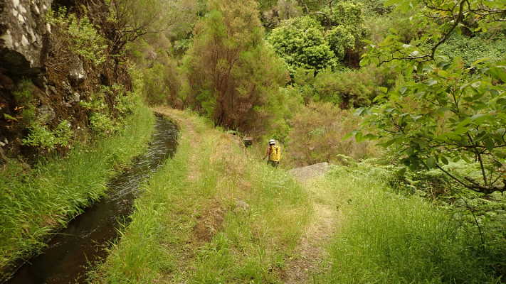 Abzweiger zur Brücke an der Levada Vermelha Abzweiger zur Brücke