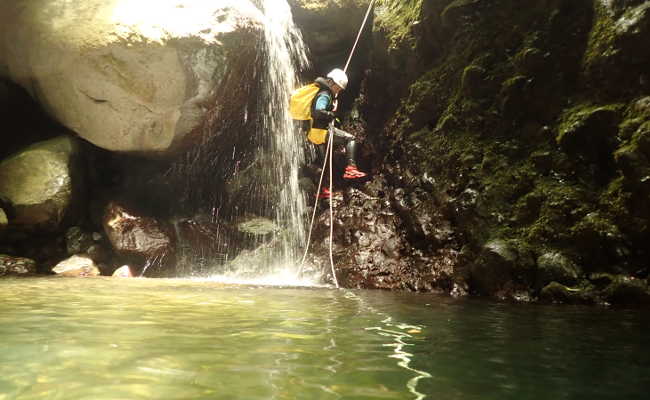 Sonne, Wasser und Fels in Calheta