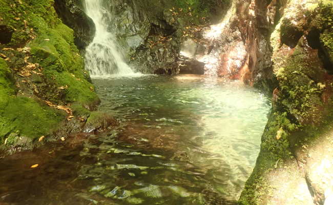 Canyoning in Madeira
