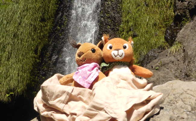 Macki und Lucy am Wasserfall
