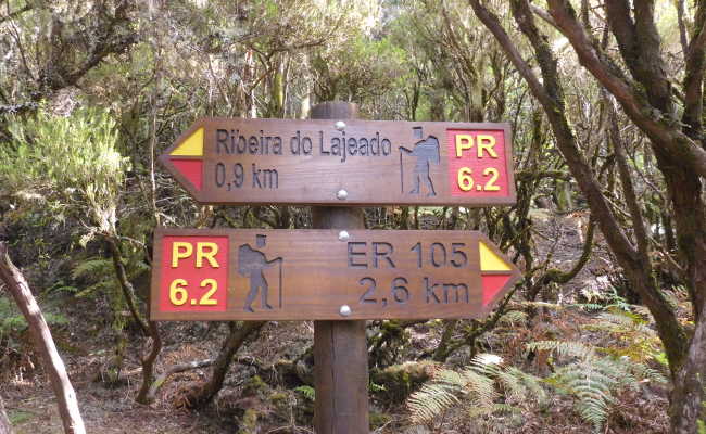 Levada Alecrim