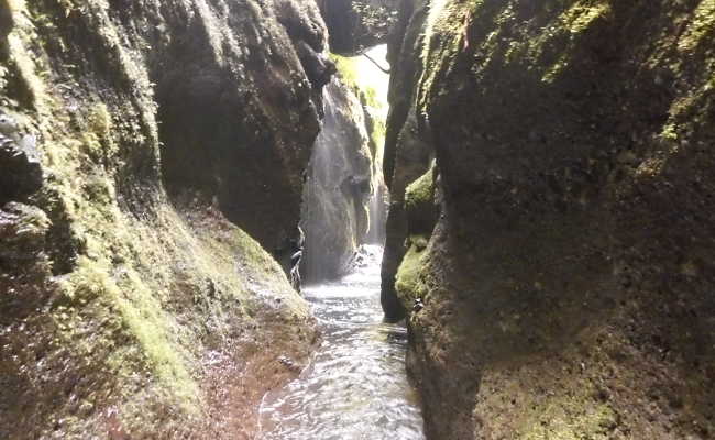 Blog von Casa Vento, Ribeira Brava