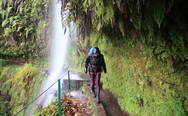 Levada Wanderung Santana, Madeira Levada Wanderung Santana