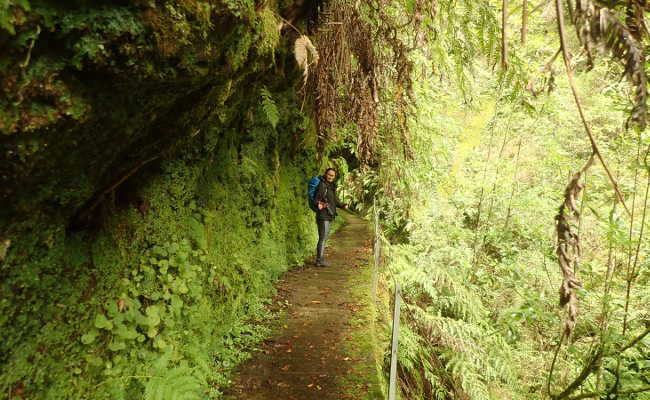 Levada Faja do Rodriguez