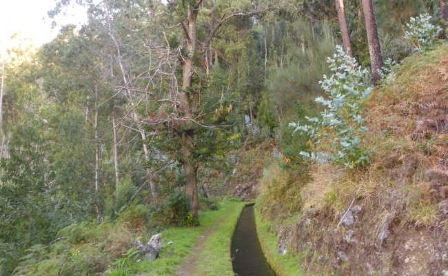 Wanderweg in Calheta