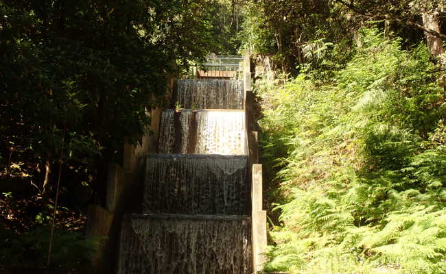 Die bequeme Levada Faja do Rodrigues Levada Faja do Rodrigues