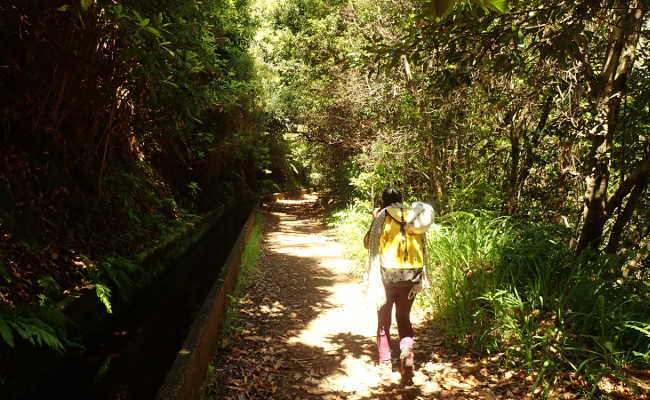 Blog Wandern, Levada Wanderung Rodriguez