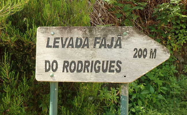 Wandern Levada Faja do Rodrigues