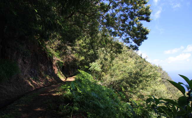 Wanderweg entlang der Levada