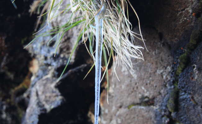 Eiszapfen Madeira