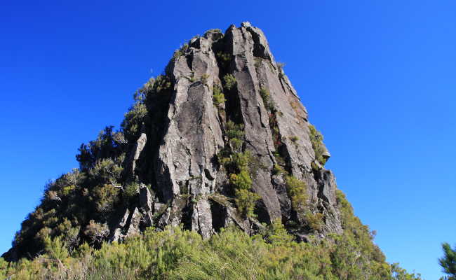 Pinaculo Madeira