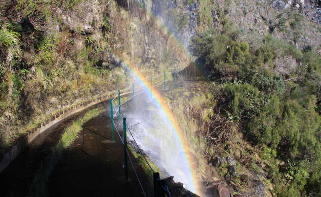 Regenbogen