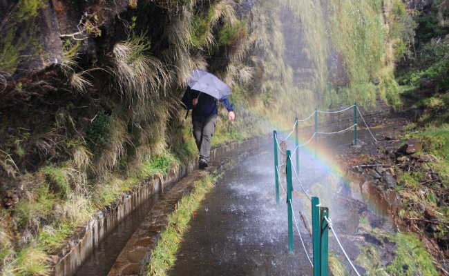 Regenschirm