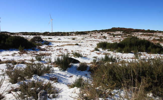 Schnee in Madeira