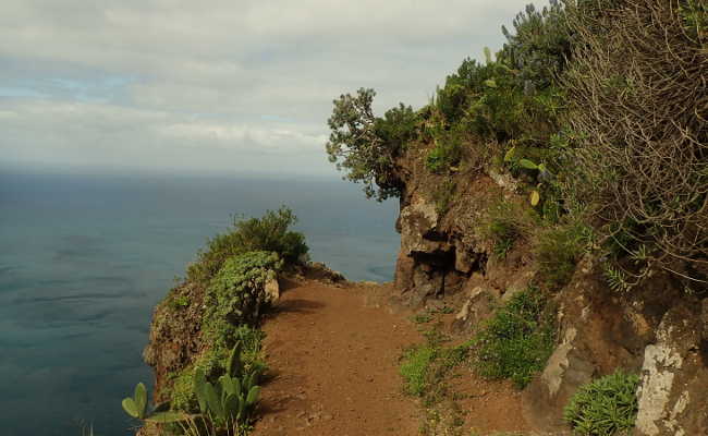 Wandern auf dem Anglerweg