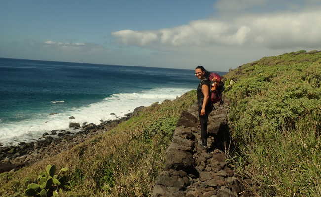 Faja Grande, Madeira