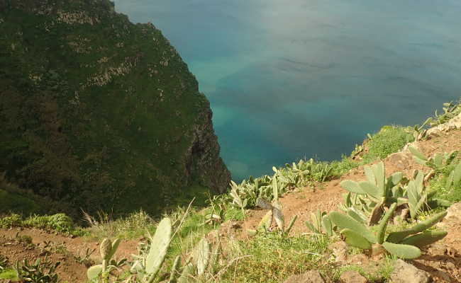Die Steilküste bei Ponta do Pargo