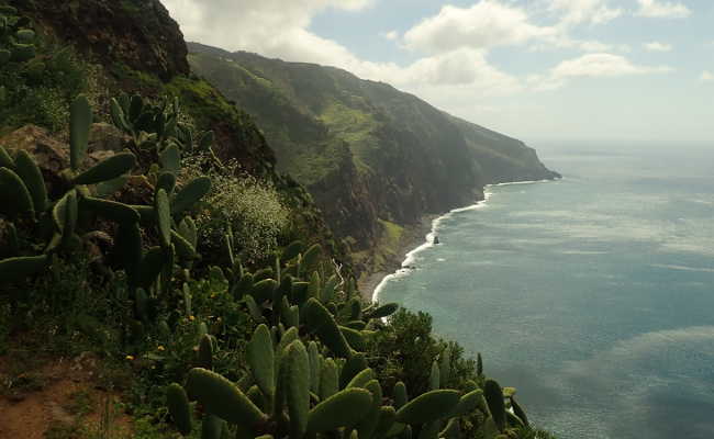 Vereda Faja Grande, Ponta do Pargo