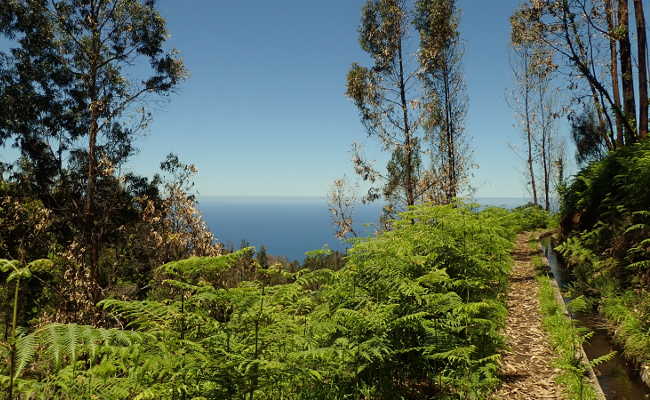 Blauer Himmel und grüne Natur Wandern in Ponta do Pargo