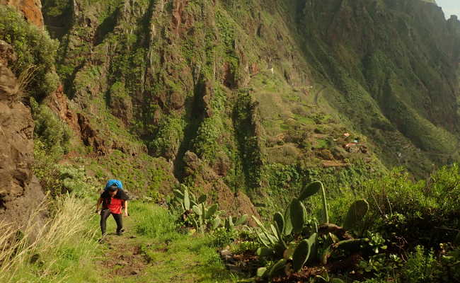 Wandern in Faja de Ovelha