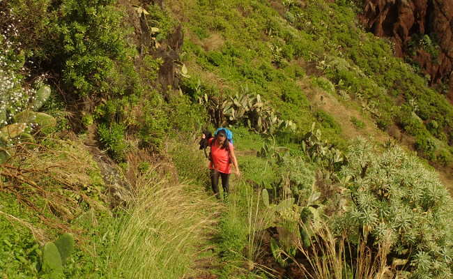 Wanderweg