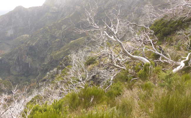 Madeiras höchster Berg