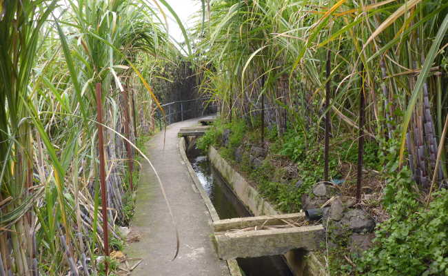 Wandern in Madeira