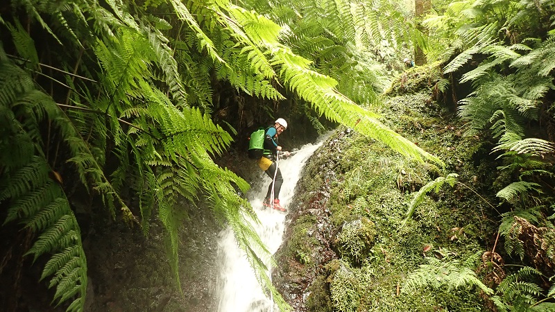 Unser Madeira Blog