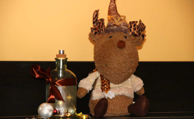 Unser Weihnachts-Freddy im Casa Vento!