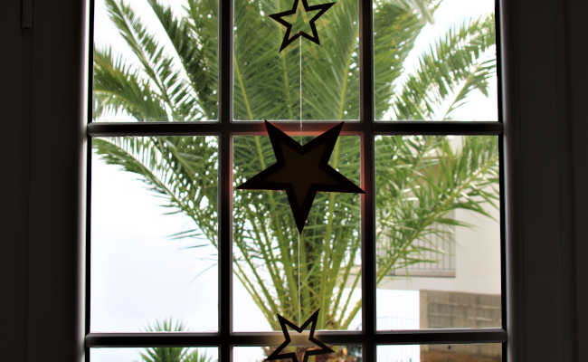 Weihnachten unter Palmen in Calheta! Weihnachten unter Palmen in Madeira