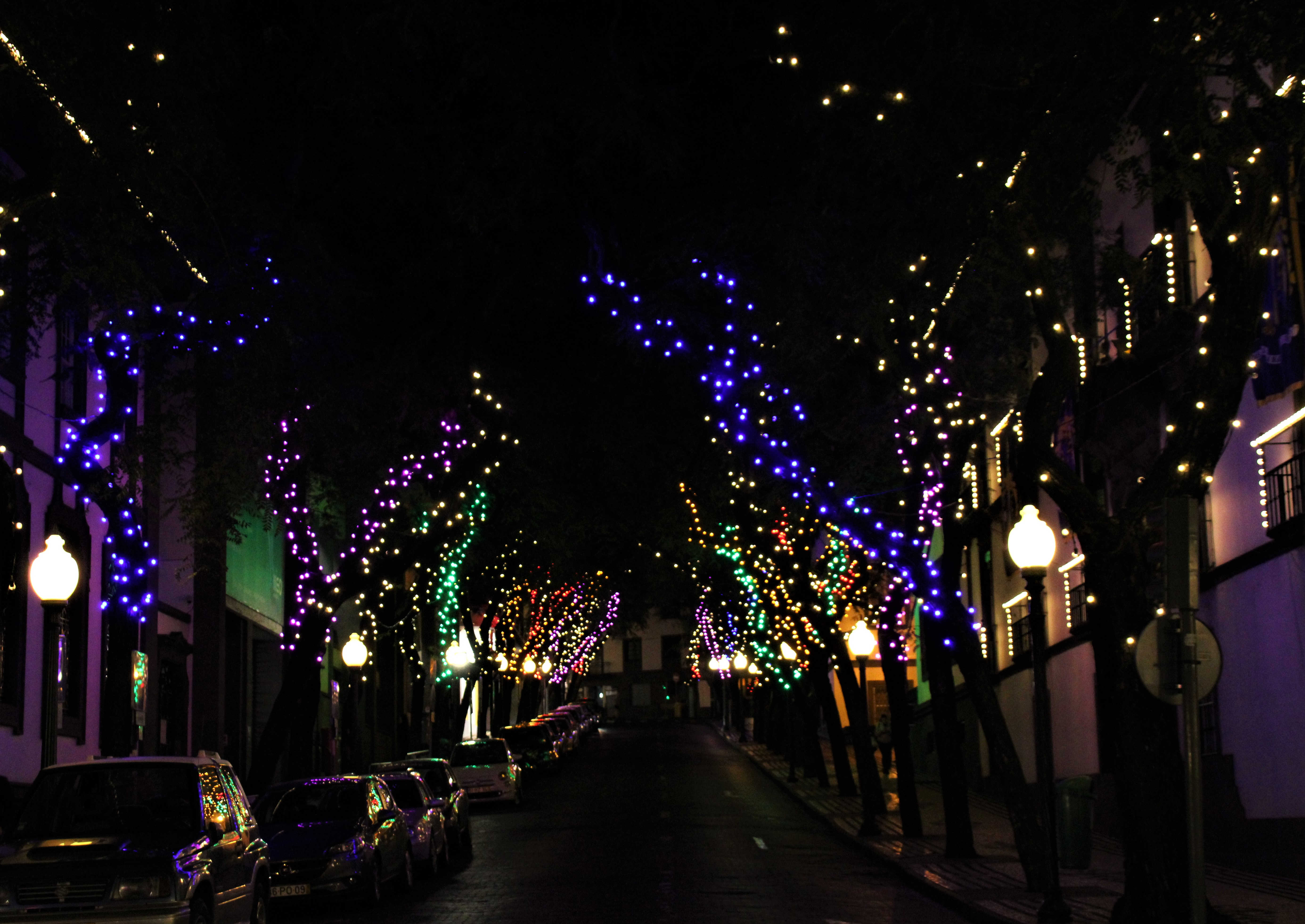 Weihnachtslichter in Funchal Funchal im Glanz
