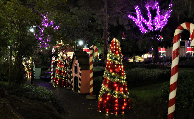 Lichterpark in Funchal Licherpark Madeira