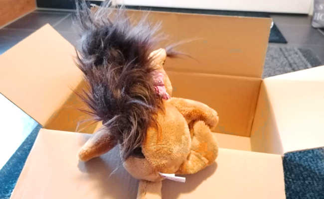 Lucy geht auf Reisen! Eichhörnchen reist nach Madeira
